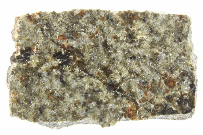 Polished Martian Meteorite Slice ( g) - NWA #266629